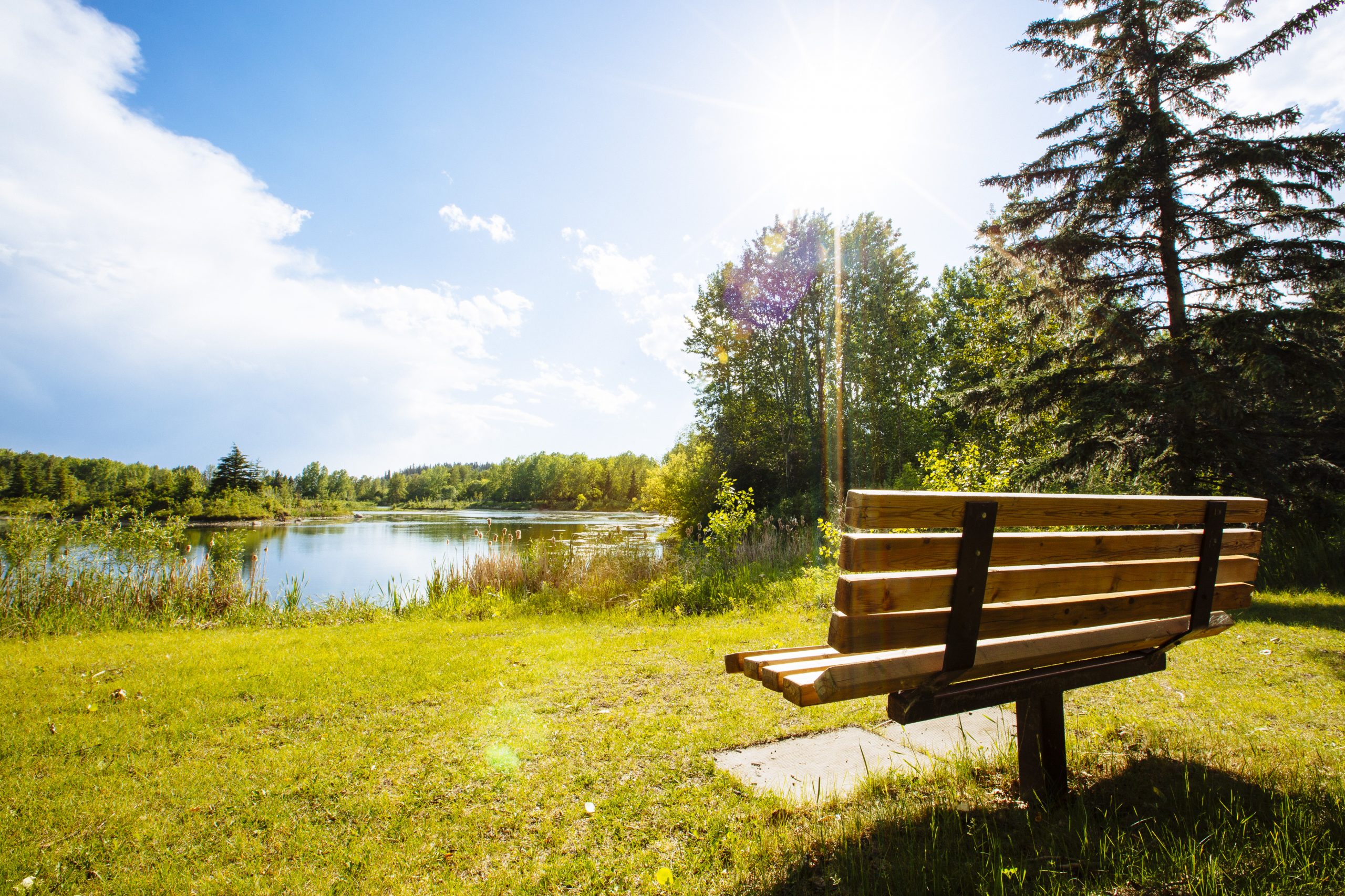 Search Red Deer Real Estate Century 21 Advantage